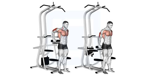 Assisted Triceps Dip - Guide, Benefits, and Form