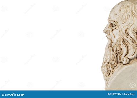 Leonardo Da Vinci Perspective White Background Stock Photo - Image of ...