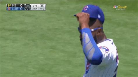 Cubs GIFs - Find & Share on GIPHY