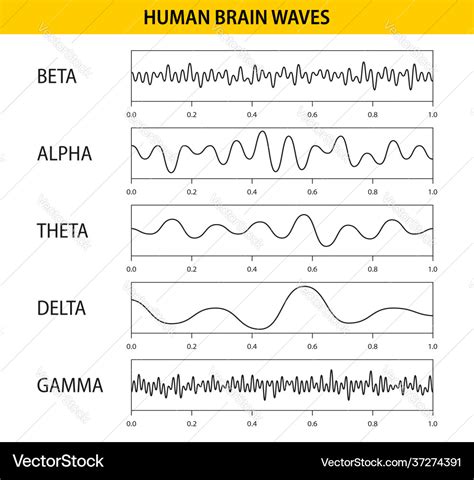 Beta alpha theta delta gamma brain waves set Vector Image