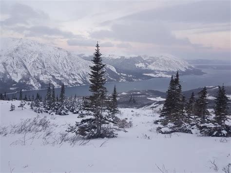 Yukon Hiking | Hiking, skiing, and snowshoeing trails in the Yukon ...