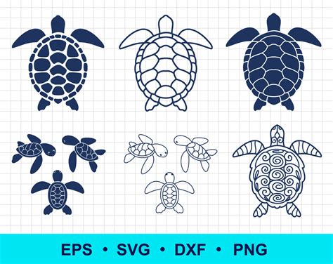 Sea Turtle Svg Png Dxf Eps Cute Baby Turtle Silhouette Etsy