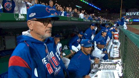 Cubs Win GIFs - Find & Share on GIPHY