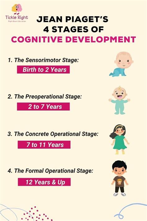 Jean piaget’s 4 stages of cognitive development i – Artofit