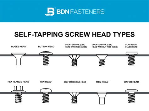 10 Different Self-Tapping screw head types | BDN Fasteners