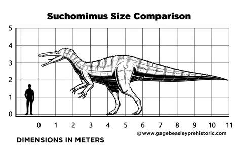 An Ultimate Guide to Suchomimus: The Crocodile Mimic - Gage Beasley ...