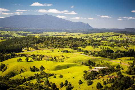 Mareeba Pest Control - Flick Pest Control