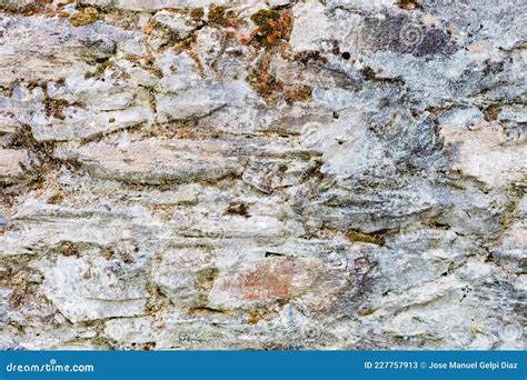 Grey stone wall texture stock image. Image of design - 227757913