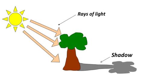 Shadow Diagram For Kids