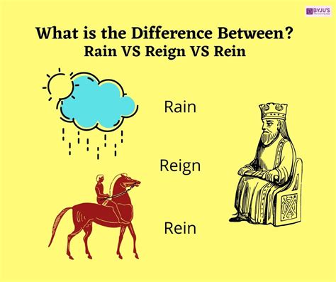 Difference Between Reign, Rein & Rain With Example| Reign Vs Rein Vs Rain