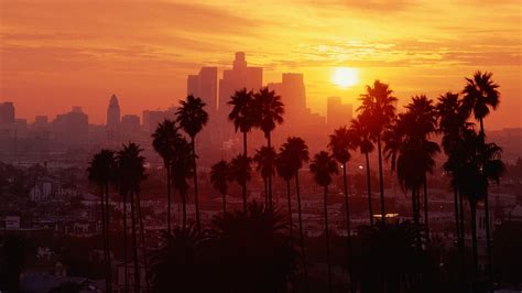 HD wallpaper: Los Angeles, palm trees, sunset | Wallpaper Flare