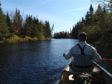 Old Crow - Consistency Amidst a Nomadic Lifestyle - Brookdog Fishing