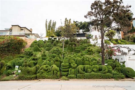 Harper’s Topiary Garden in San Diego - California Through My Lens