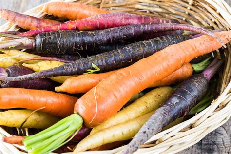 13 of the Best Carrot Varieties to Grow at Home | Gardener's Path