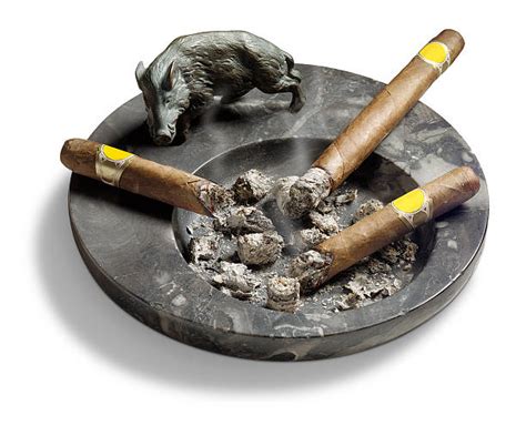 Royalty Free Cigar Ashtray Pictures, Images and Stock Photos - iStock