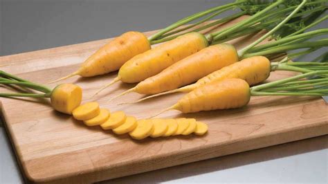 15 Must Have Carrot Varieties [Slideshow] - Growing Produce