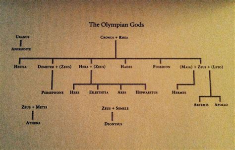 Greek Mythology THE OLYMPIAN GODS - family tree | Greek family tree ...