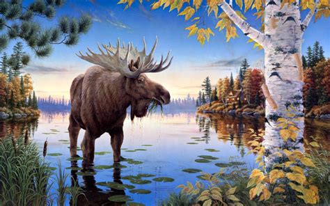 Moose Wallpapers - Wallpaper Cave