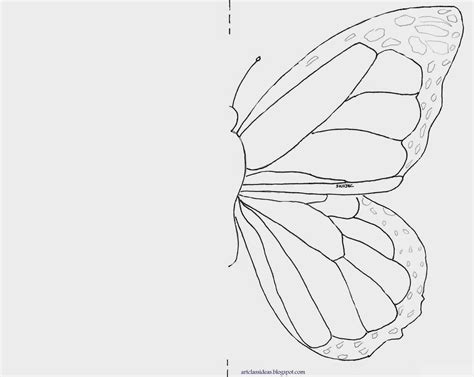 Butterfly Symmetry Symmetry Art Butterfly Drawing Easy Drawings