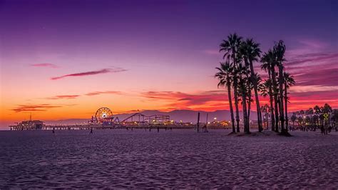 HD wallpaper: Los Angeles, palm trees, beach | Wallpaper Flare