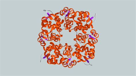 3d model calcium sensor