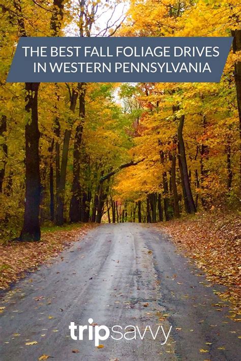 Take a Breathtaking Fall Foliage Drive in Western Pennsylvania | Fall ...