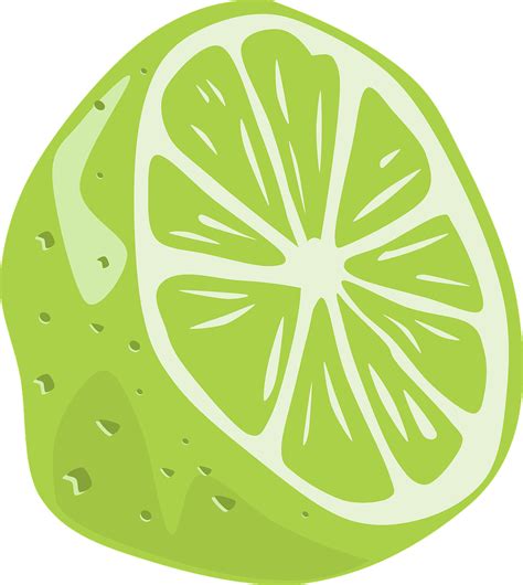 Free Lime Vector Art - Download 81+ Lime Icons & Graphics - Pixabay