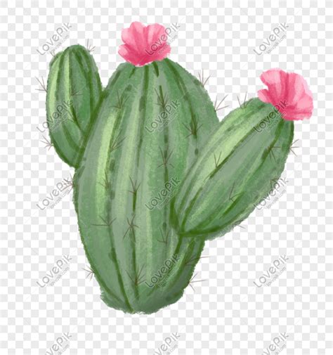 Cactus Doodle PNG Images With Transparent Background | Free Download On ...