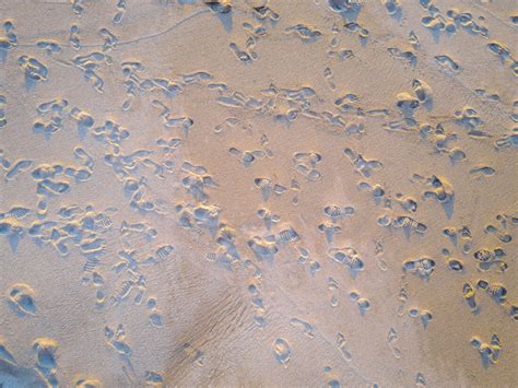 Footprints Sand Beach Royalty-Free Stock Photo