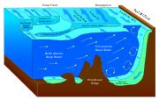 Dispersion (water waves) - Wikipedia