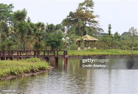 A pond view of the 'Malabo National Park' in Malabo, Equatorial... News ...