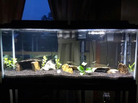 Soon... My 55g African Cichlid tank : r/Aquariums