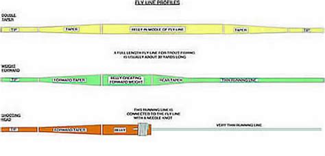 Swirlster First: Types Of Fly Line