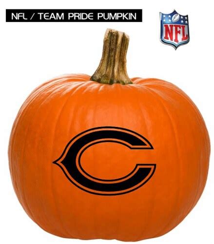 Pumpkin Patch Pals Chicago Bears Painted Pumpkin - Each, 1 ct - Kroger