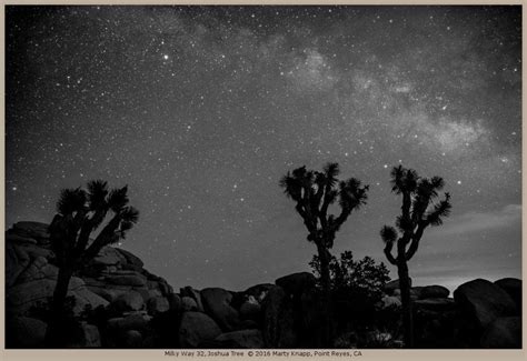 Joshua Tree Night Sky Photography - Marty Knapp