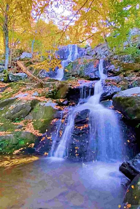 The Best Waterfalls In Shenandoah National Park