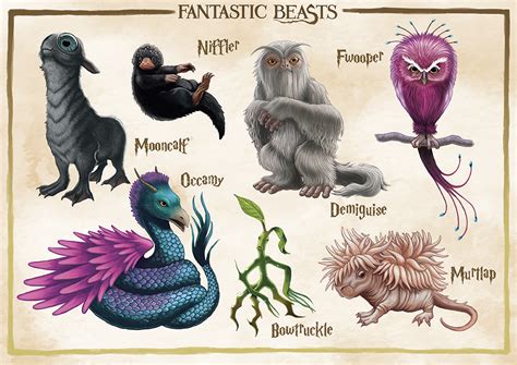 Fantastic Beast Sheet by angelaxiii on DeviantArt