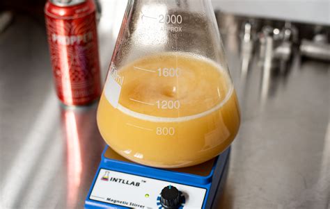 How to Make a Yeast Starter - Hazy and Hoppy