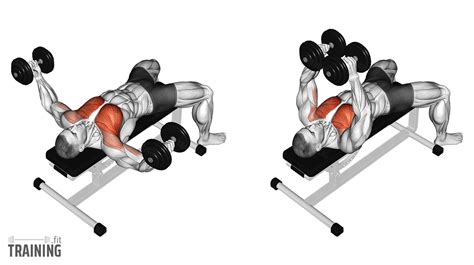 Incline Dumbbell Fly - Instructions, Information & Alternatives ...