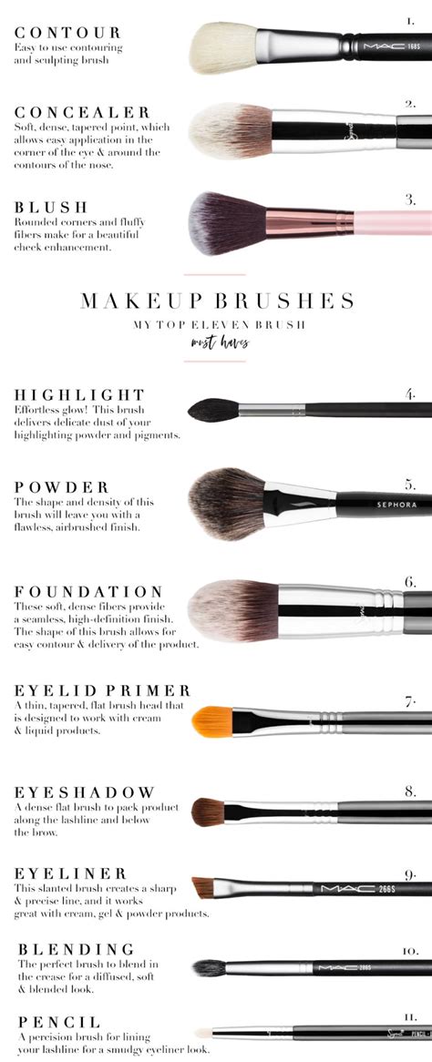 Makeup Brushes And Their Uses - Makeup Vidalondon