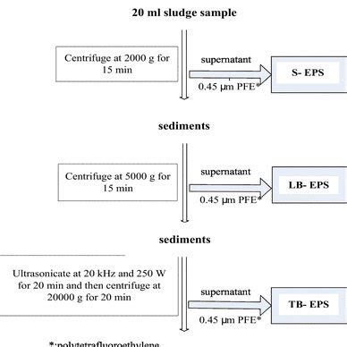 Sketch of EPS structure—three layers distribution in EPS | Download ...