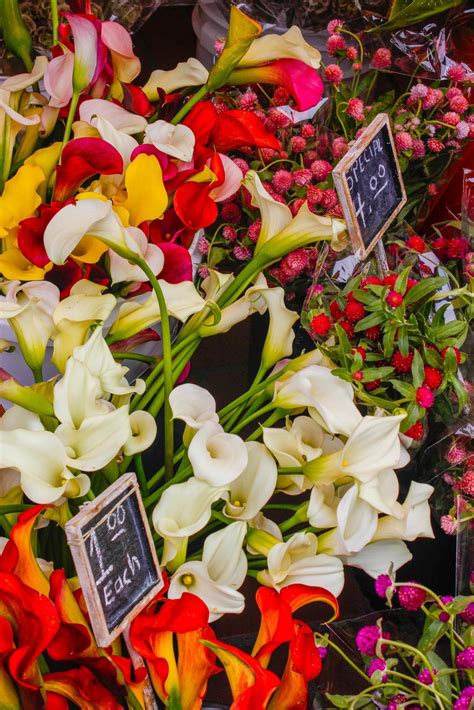 Farmers Market Flowers 17388037 Stock Photo at Vecteezy