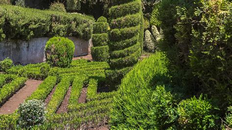 Madeira Botanical Garden - Visit Madeira | Madeira Islands Tourism ...