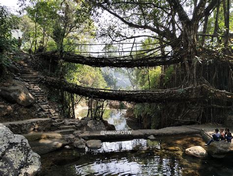 The Living Root Bridge of Meghalaya - Family on the wheels