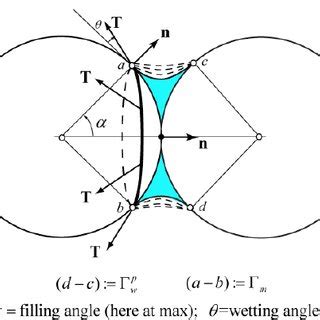 Geometry of meniscus and surface tension forces for a pair of spherical ...