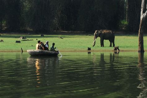 kabini-jungle-safari – South India Tour Packages