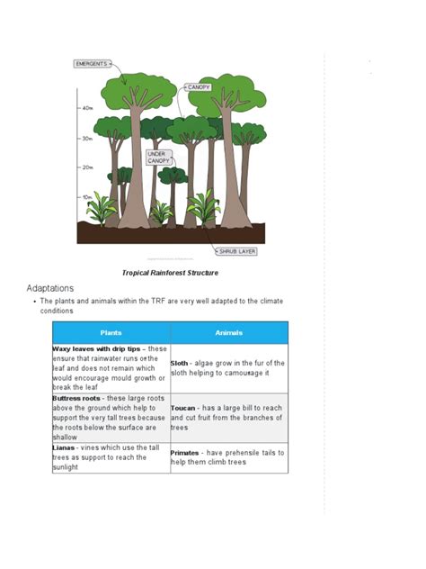 Ecosystem Diagram | PDF