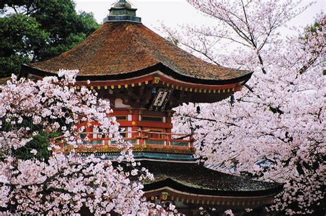 Kyoto | Japan, Map, History, Geography, & Points of Interest | Britannica