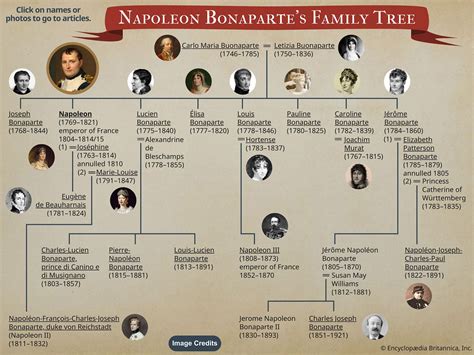 Bonaparte Family | Name, Origin, Napoleon, & Family Tree | Britannica