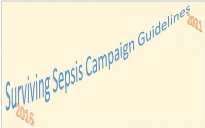 Surviving Sepsis Campaign Guidelines – Sepsis Program Optimization